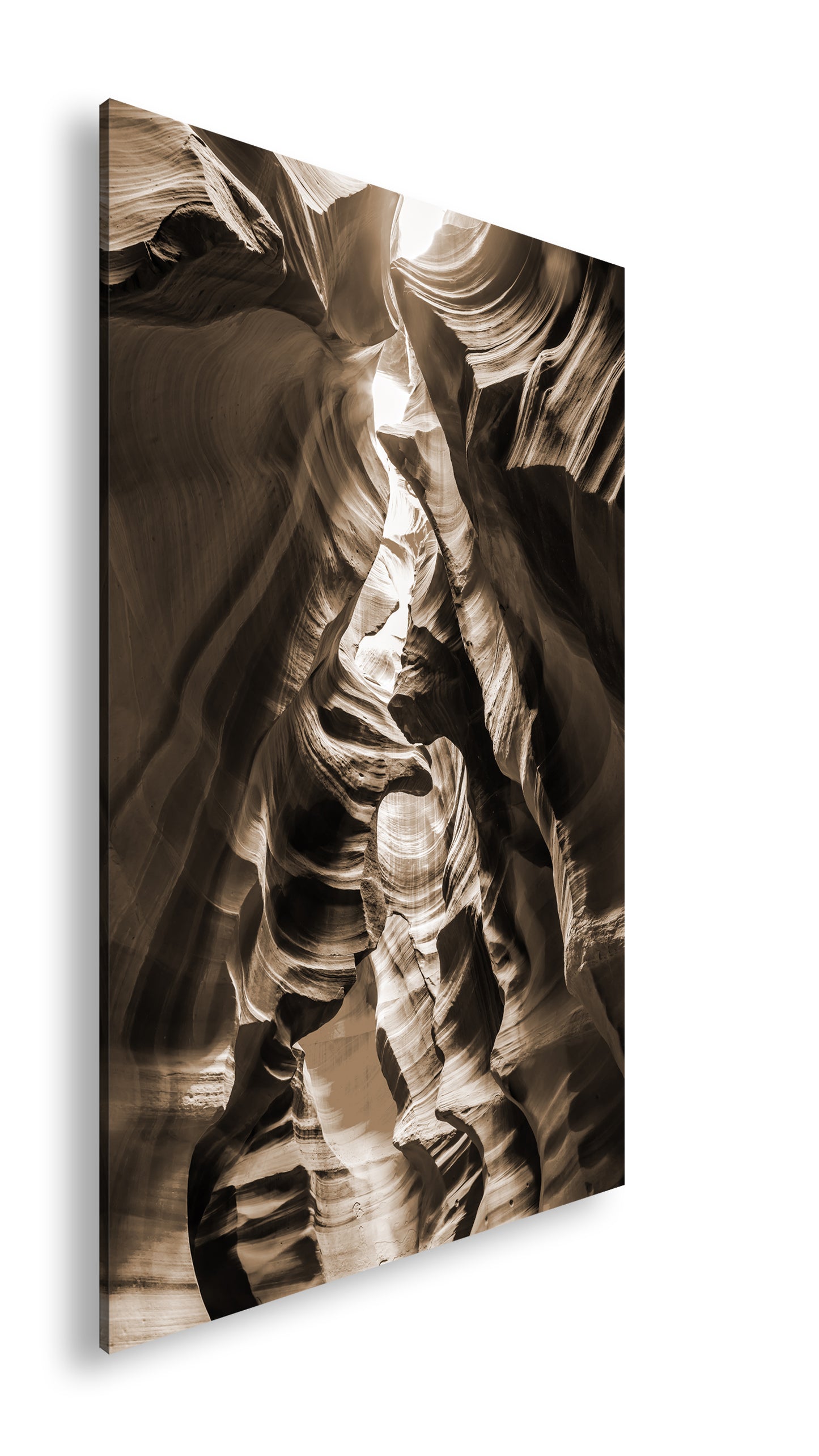 Hauptbild Sepia Standart