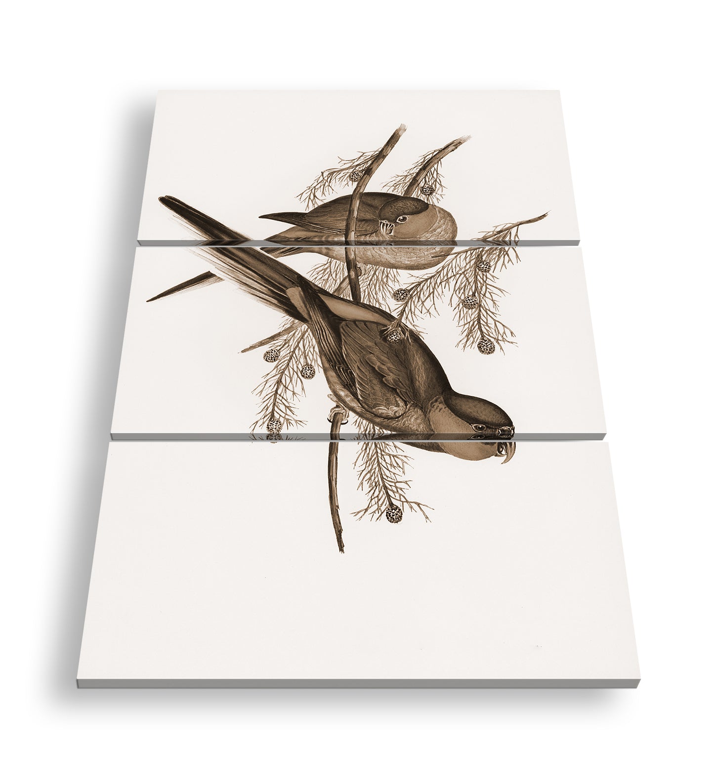 Hauptbild Sepia 3 Teilig