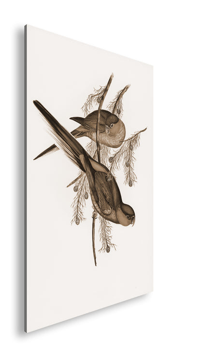 Hauptbild Sepia Standart