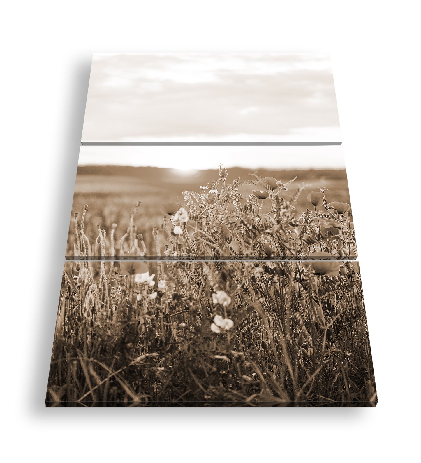 Hauptbild Sepia 3 Teilig