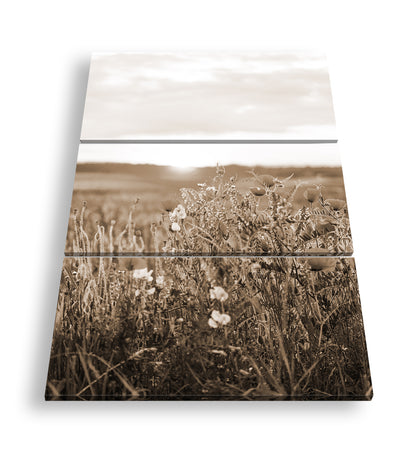 Hauptbild Sepia 3 Teilig