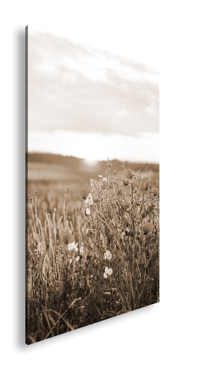 Hauptbild Sepia Standart