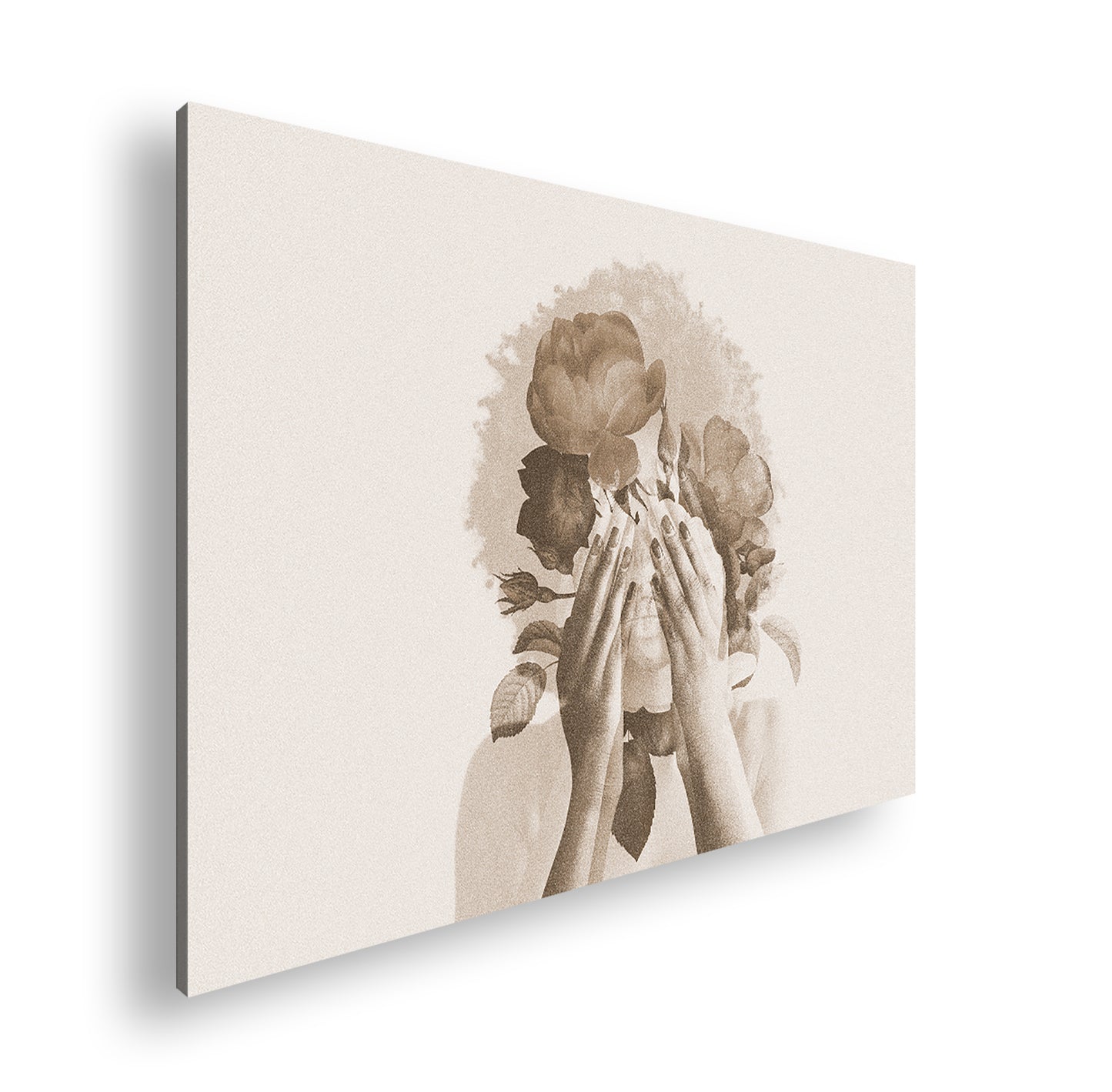 Hauptbild Sepia Standart