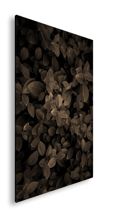 Hauptbild Sepia Standart