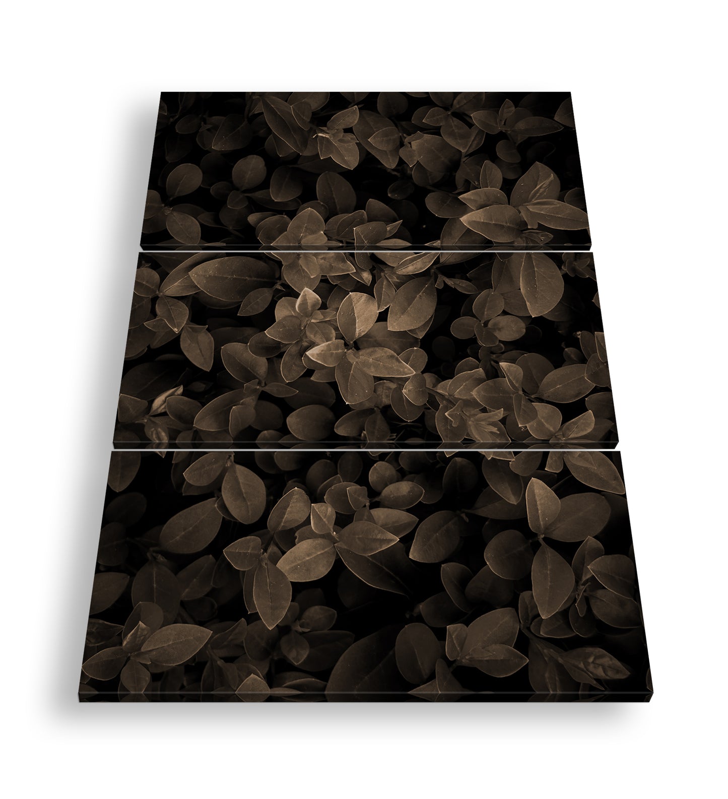 Hauptbild Sepia 3 Teilig