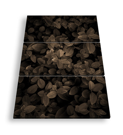 Hauptbild Sepia 3 Teilig