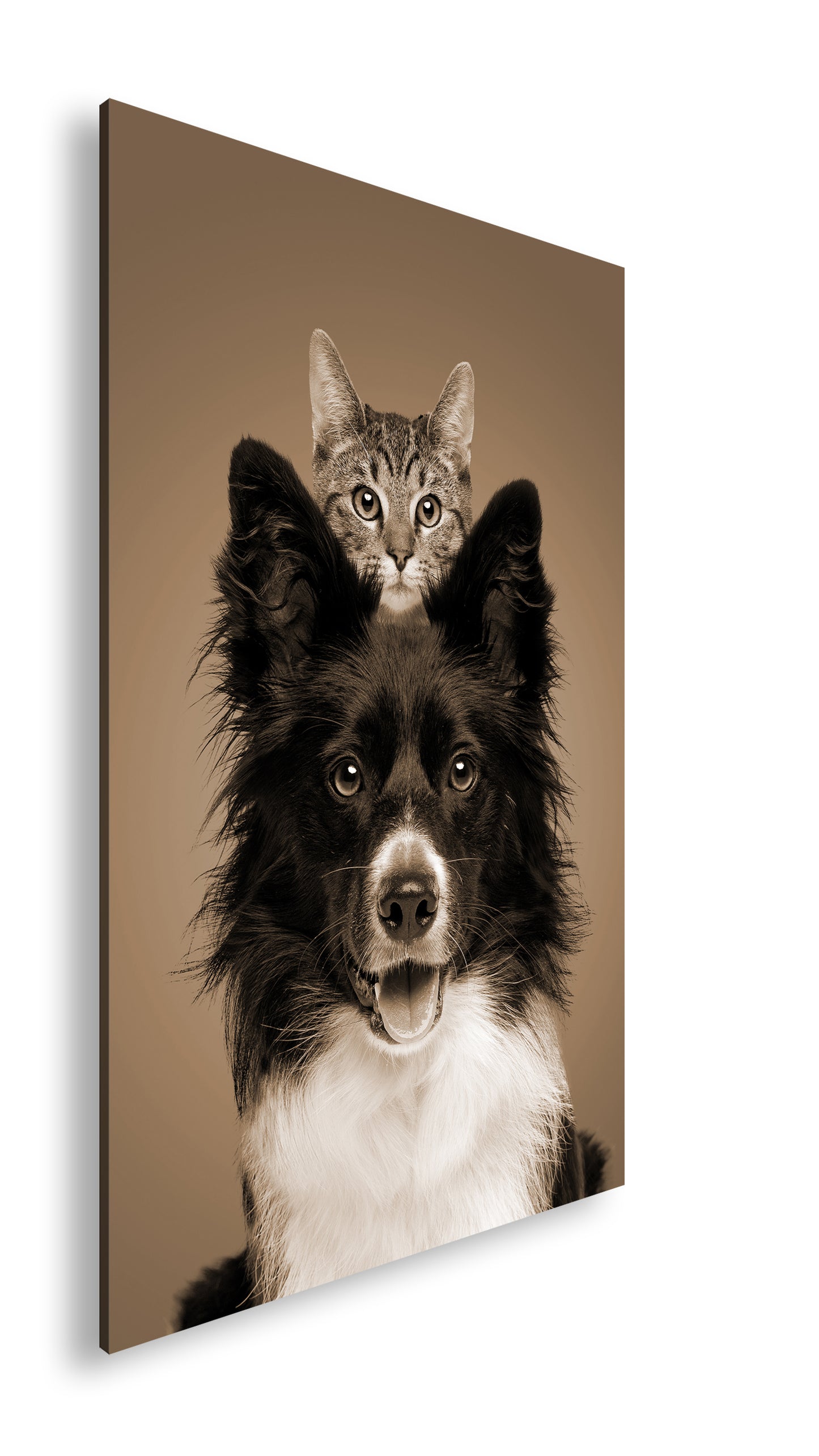 Hauptbild Sepia Standart