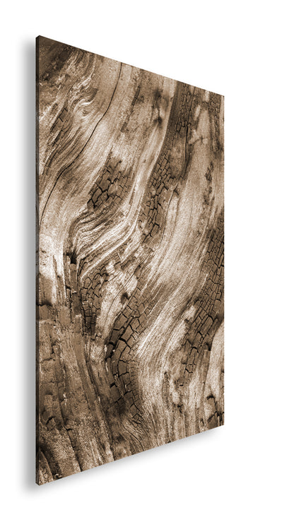 Hauptbild Sepia Standart