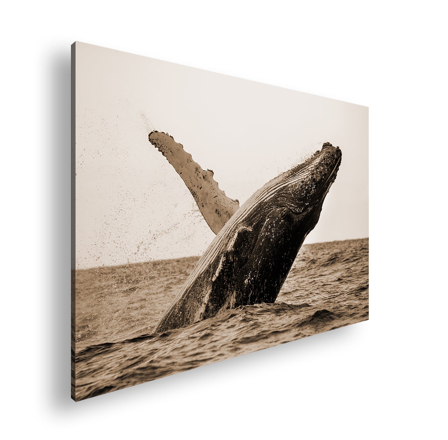 Hauptbild Sepia Standart