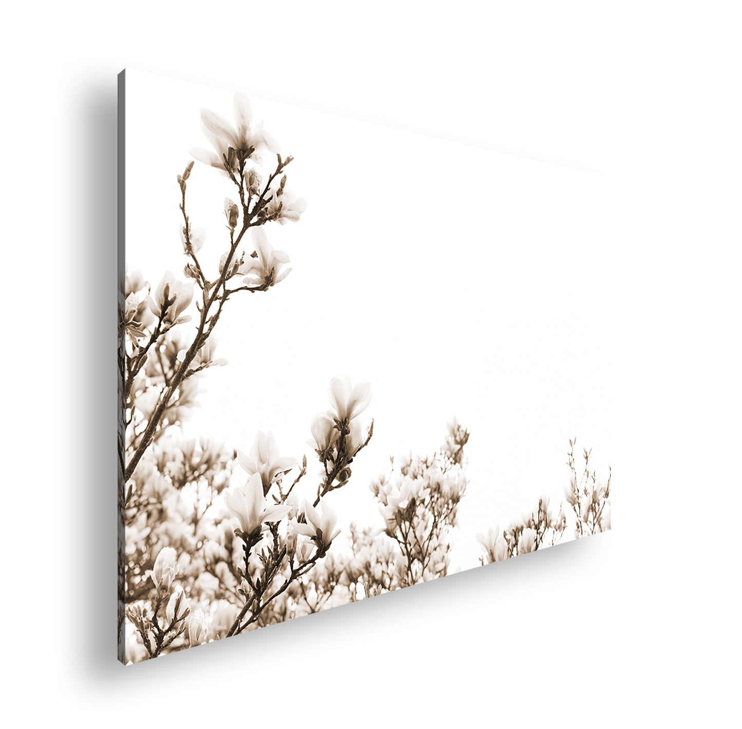 Hauptbild Sepia Standart