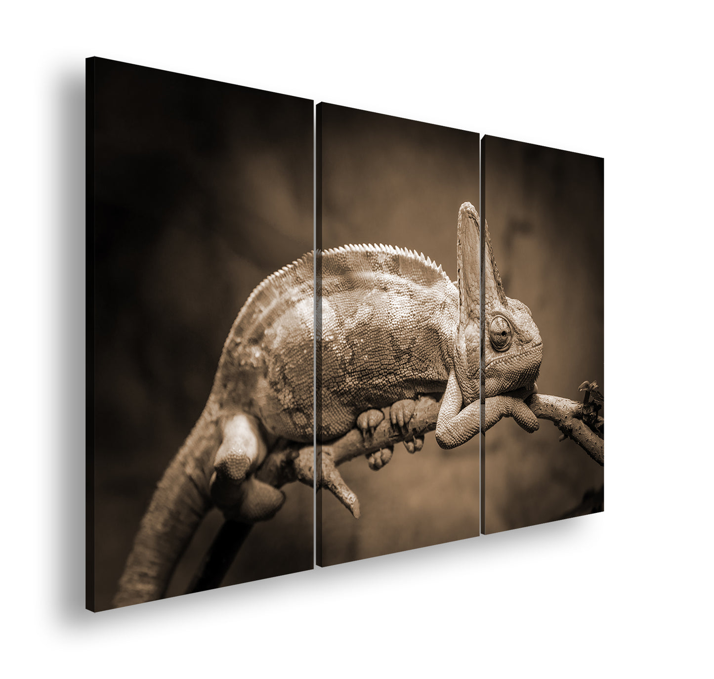 Hauptbild Sepia 3 Teilig