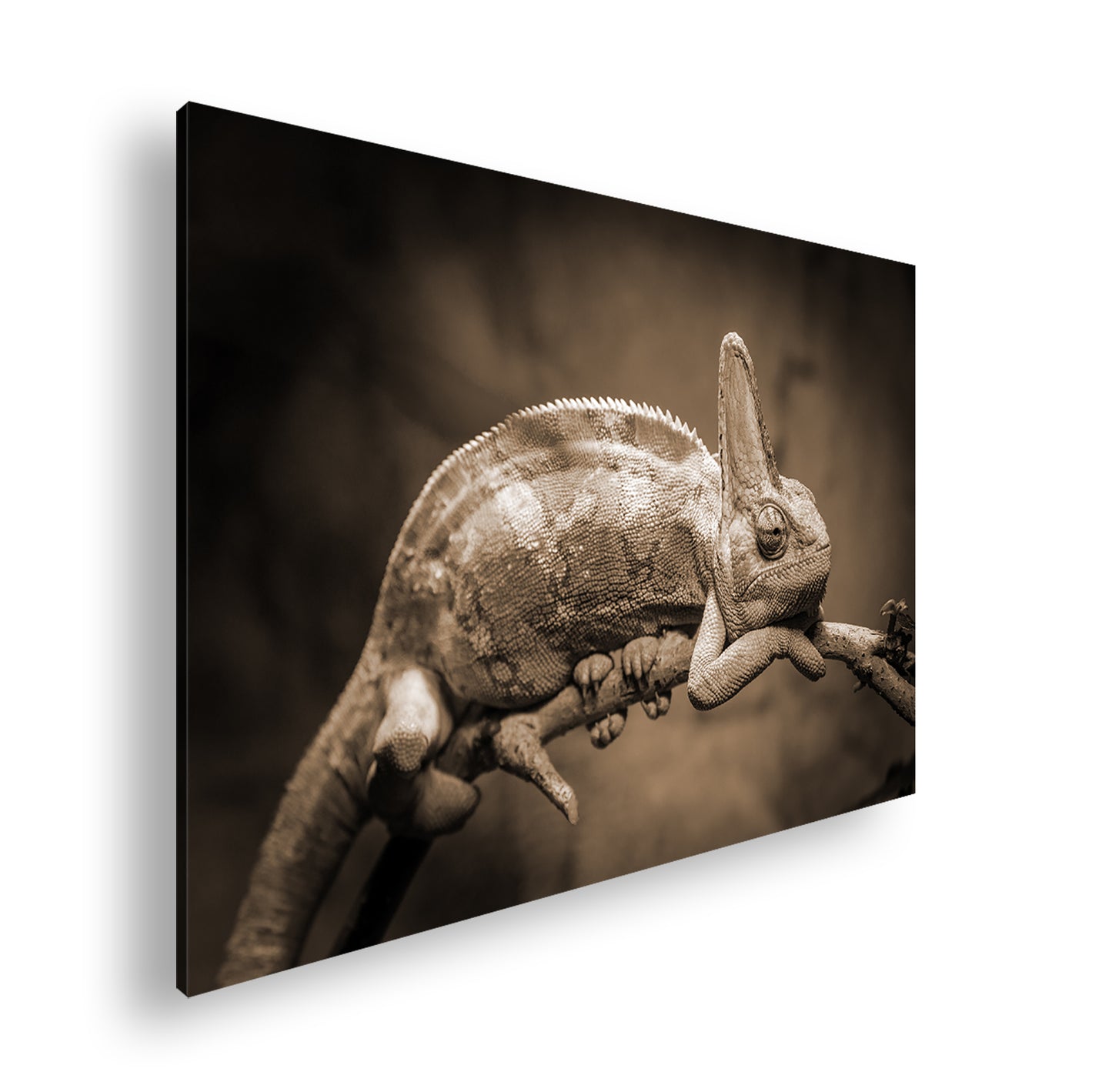 Hauptbild Sepia Standart