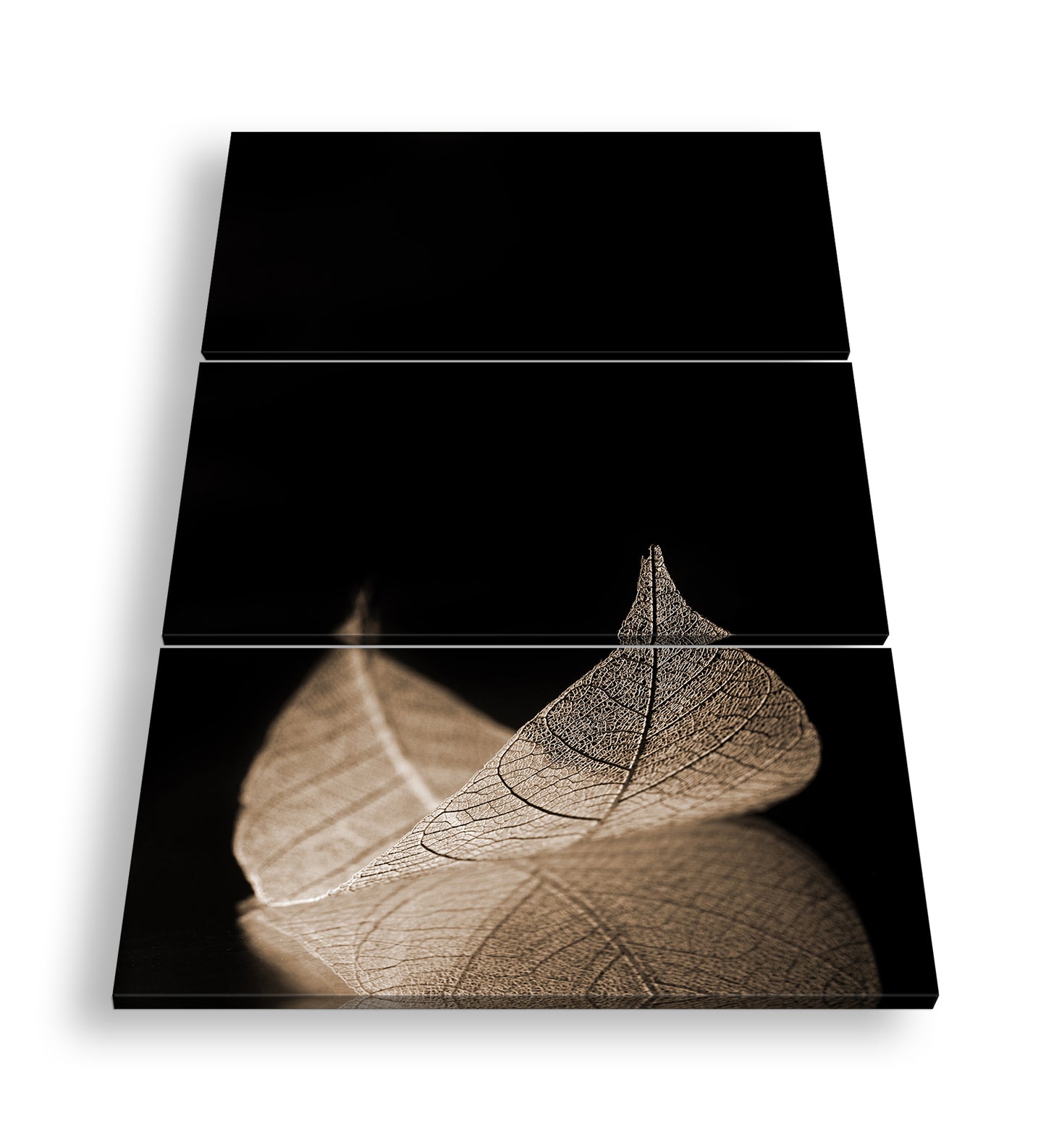 Hauptbild Sepia 3 Teilig