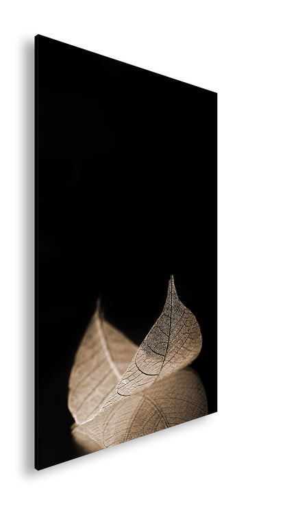 Hauptbild Sepia Standart