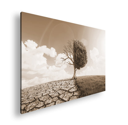 Hauptbild Sepia Standart