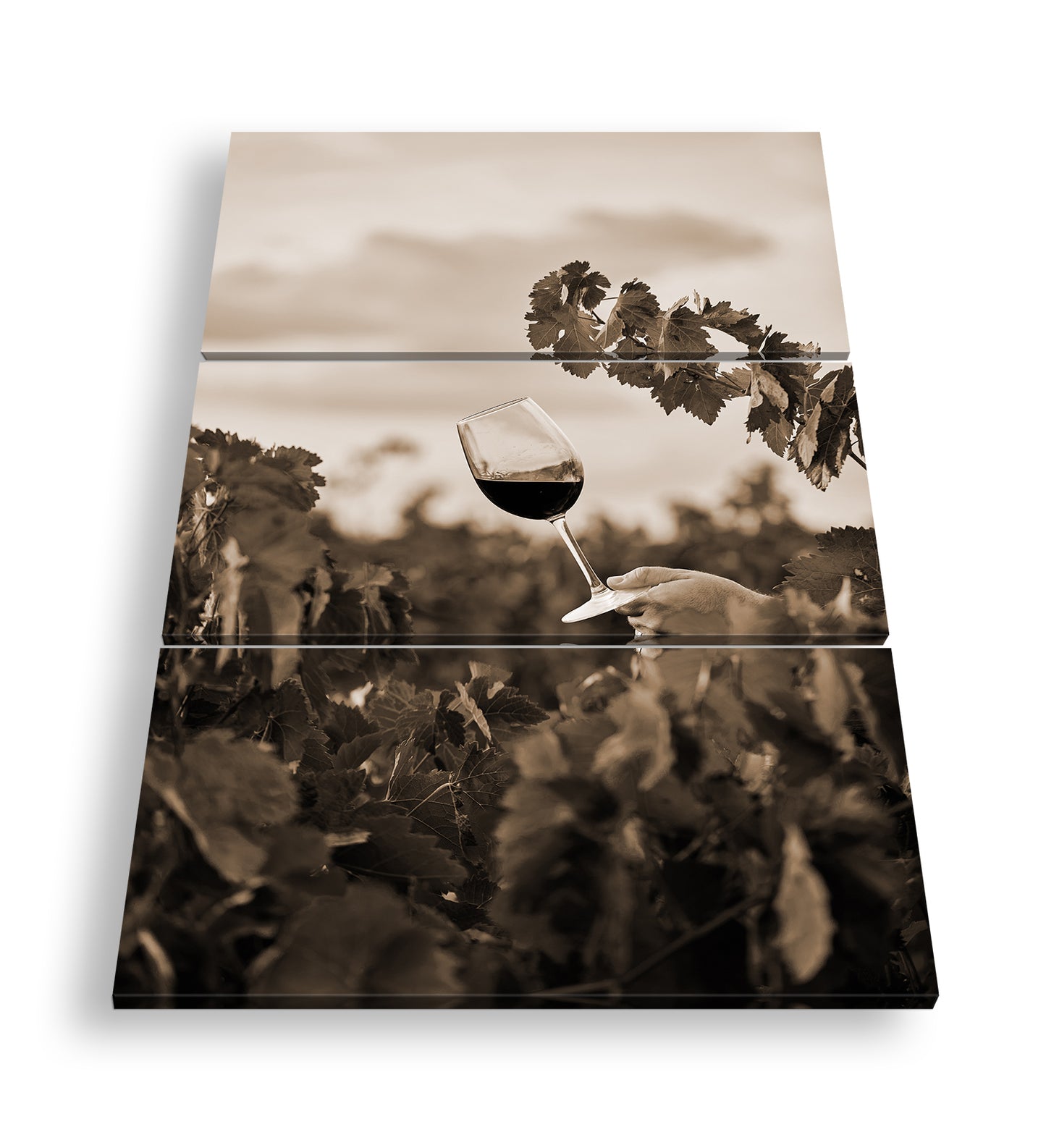 Hauptbild Sepia 3 Teilig