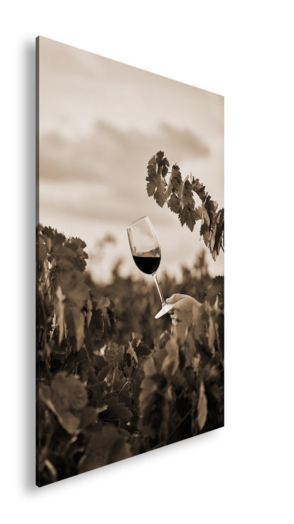 Hauptbild Sepia Standart