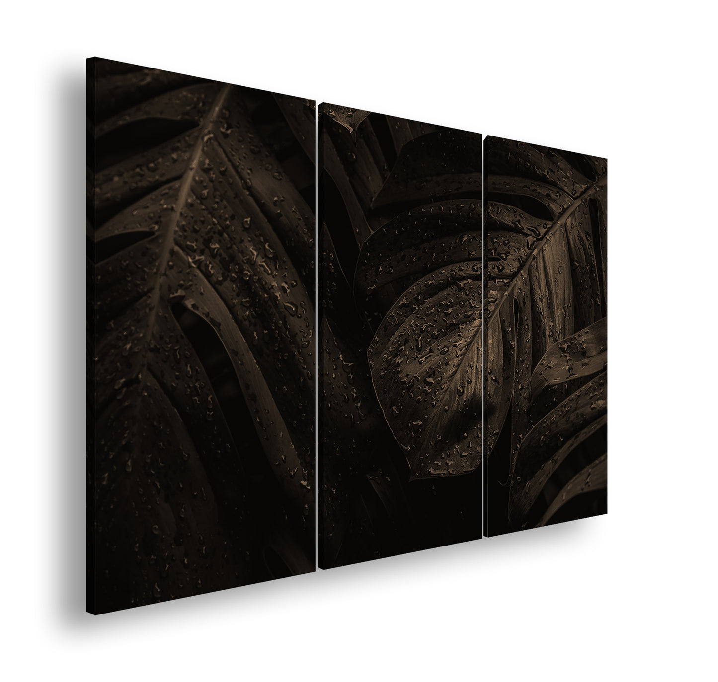 Hauptbild Sepia 3 Teilig