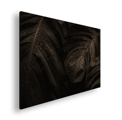 Hauptbild Sepia Standart