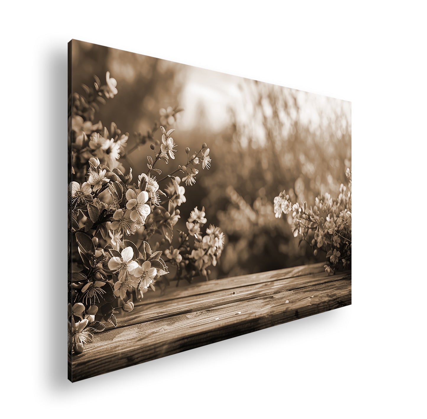 Hauptbild Sepia Standart