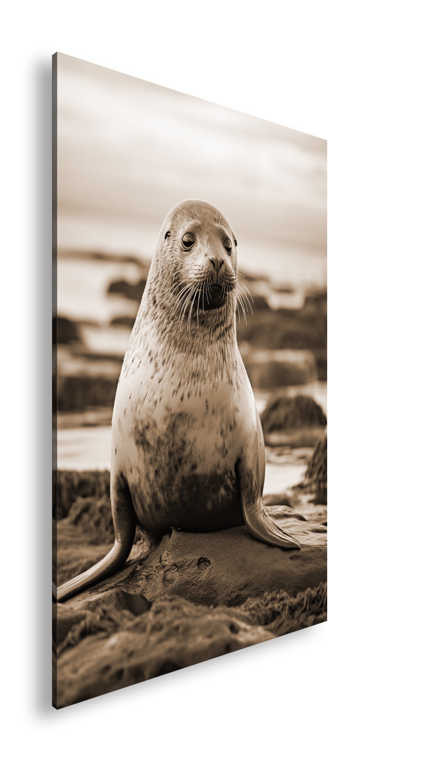 Hauptbild Sepia Standart