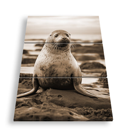 Hauptbild Sepia 3 Teilig