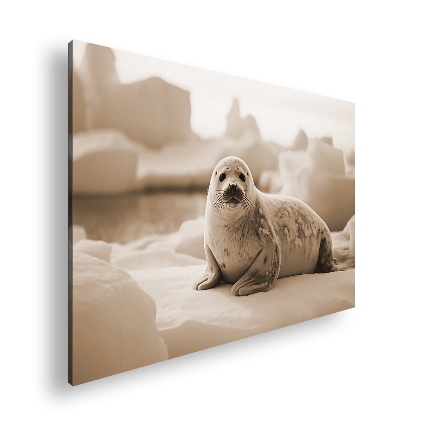 Hauptbild Sepia Standart