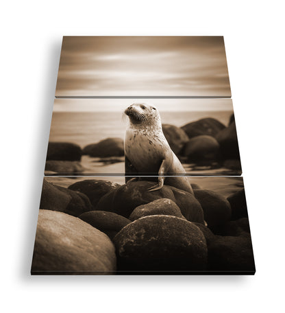 Hauptbild Sepia 3 Teilig