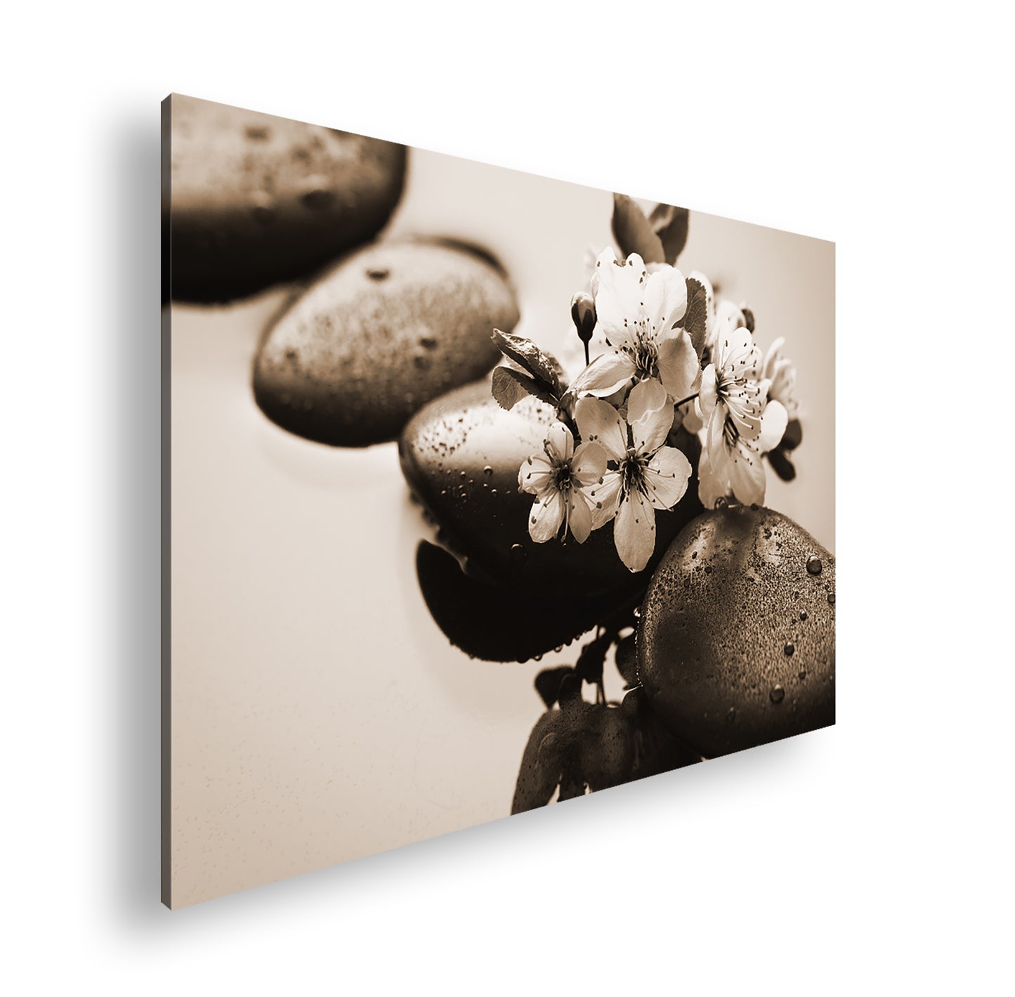 Hauptbild Sepia Standart