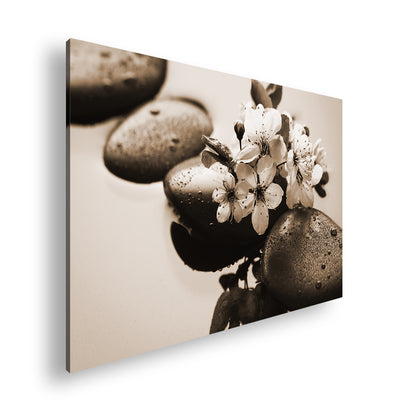 Hauptbild Sepia Standart