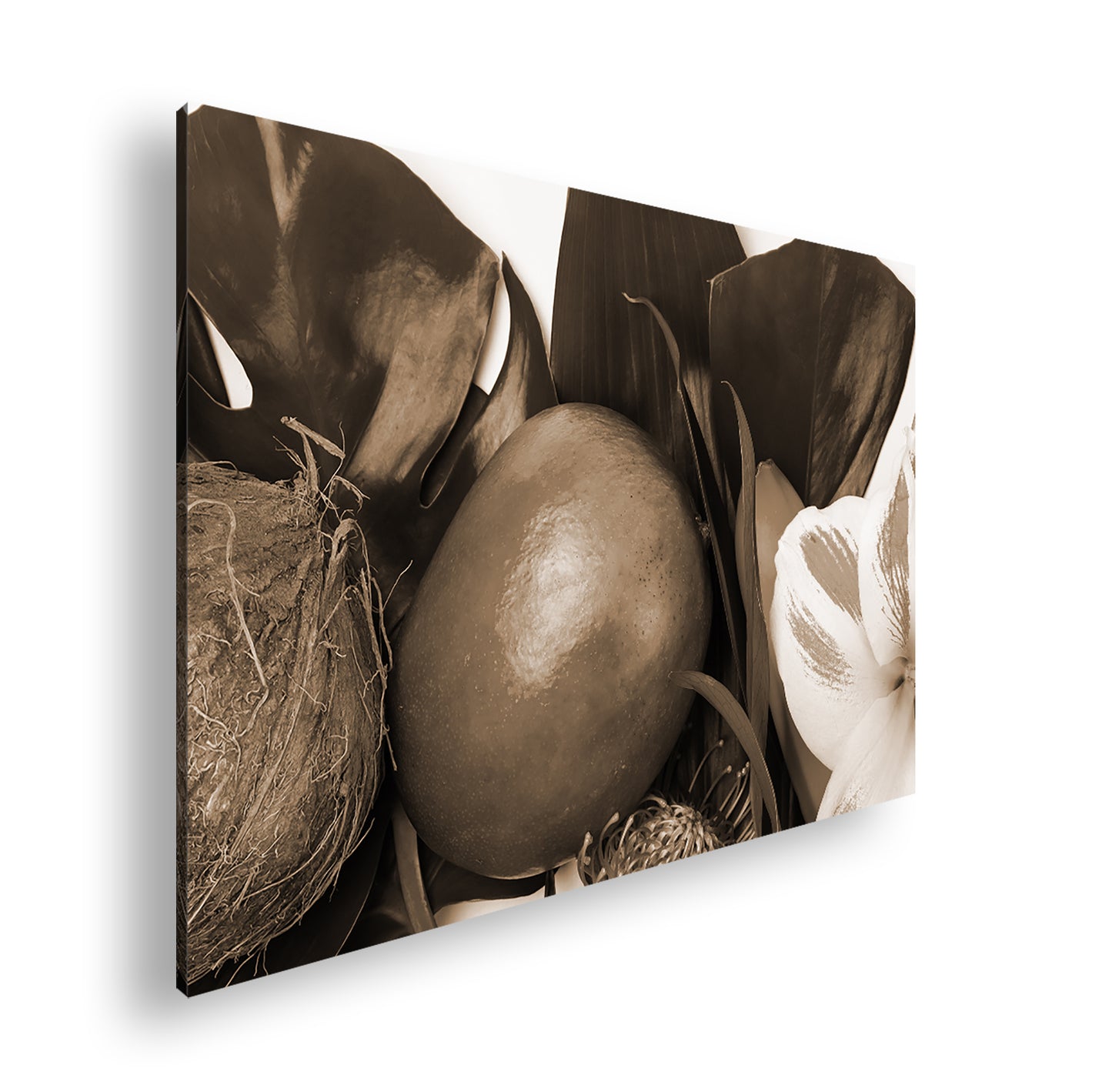 Hauptbild Sepia Standart