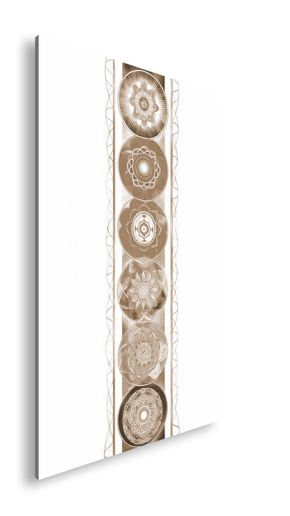 Hauptbild Sepia Standart