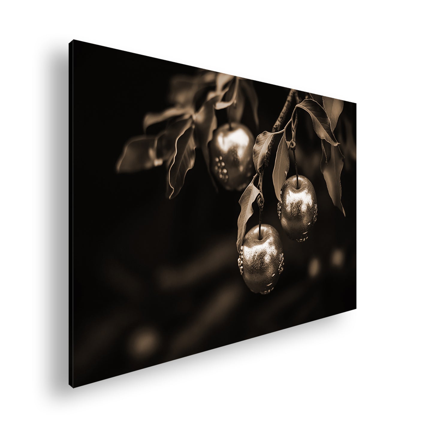 Hauptbild Sepia Standart