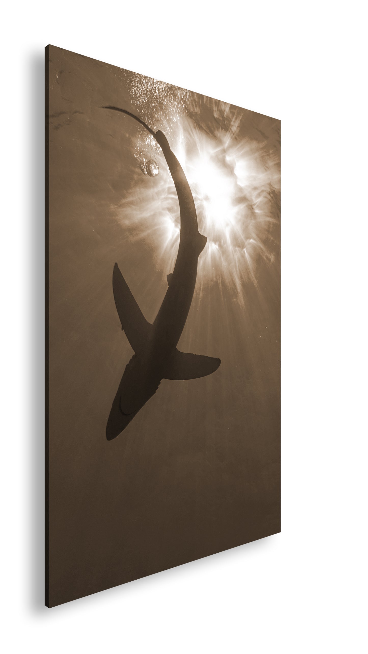 Hauptbild Sepia Standart