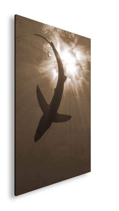 Hauptbild Sepia Standart