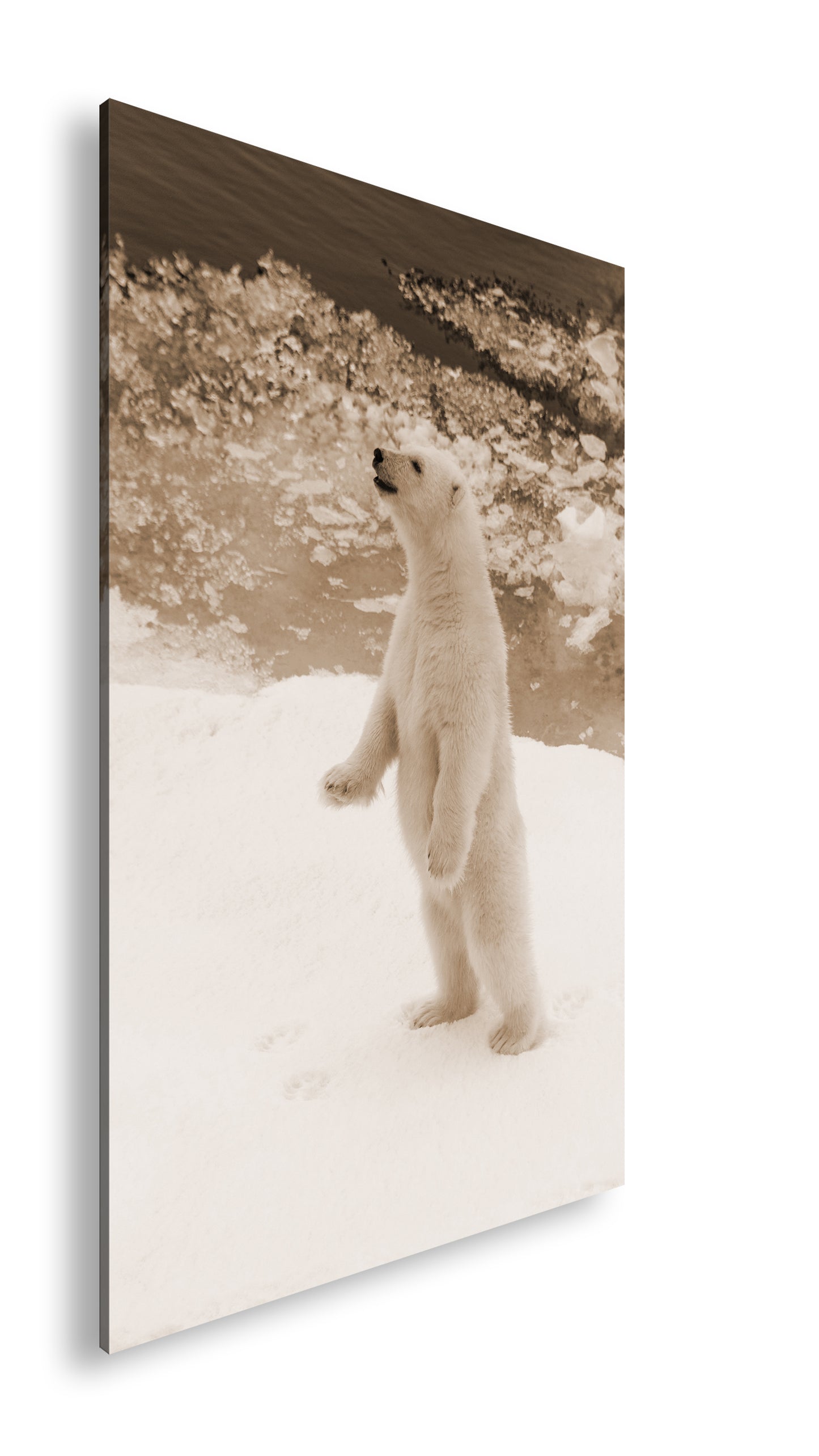 Hauptbild Sepia Standart