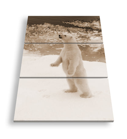 Hauptbild Sepia 3 Teilig