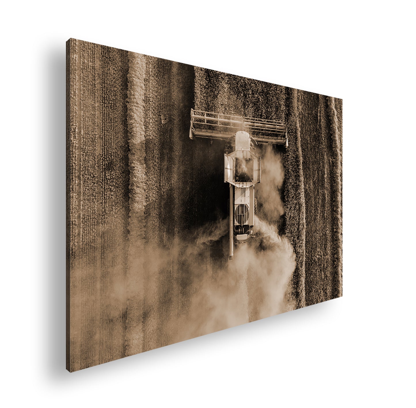 Hauptbild Sepia Standart