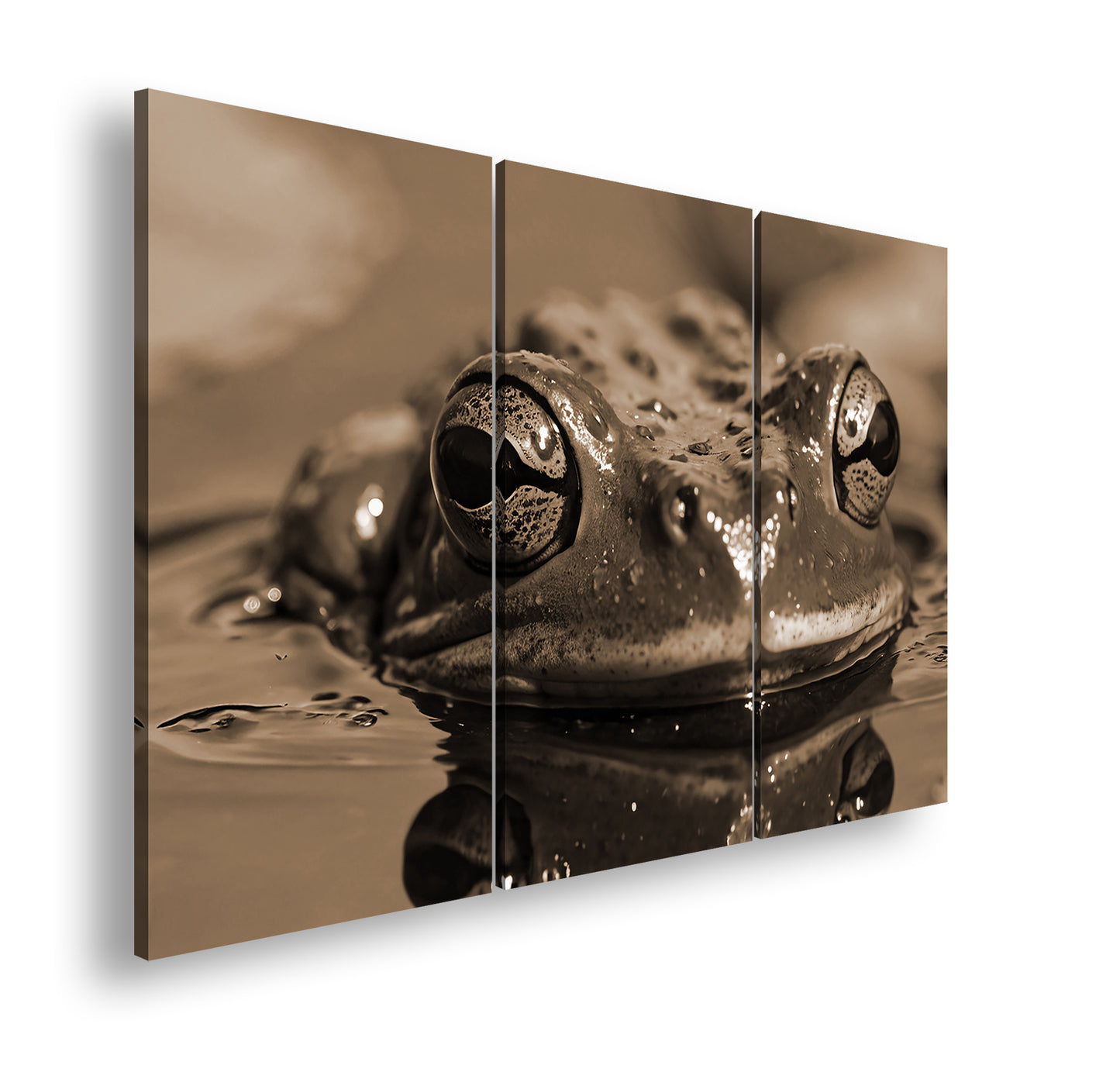 Hauptbild Sepia 3 Teilig