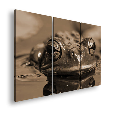 Hauptbild Sepia 3 Teilig