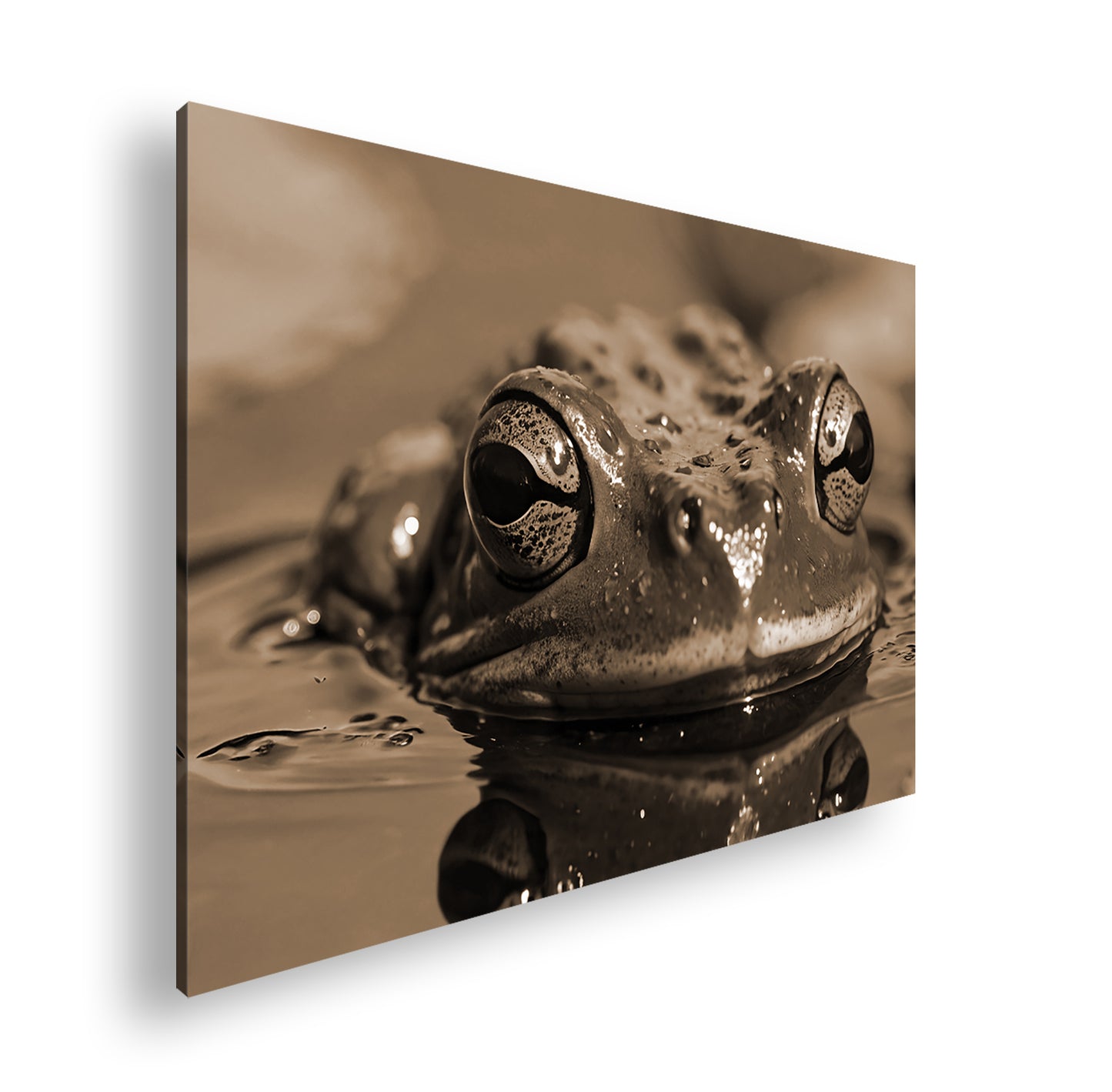 Hauptbild Sepia Standart