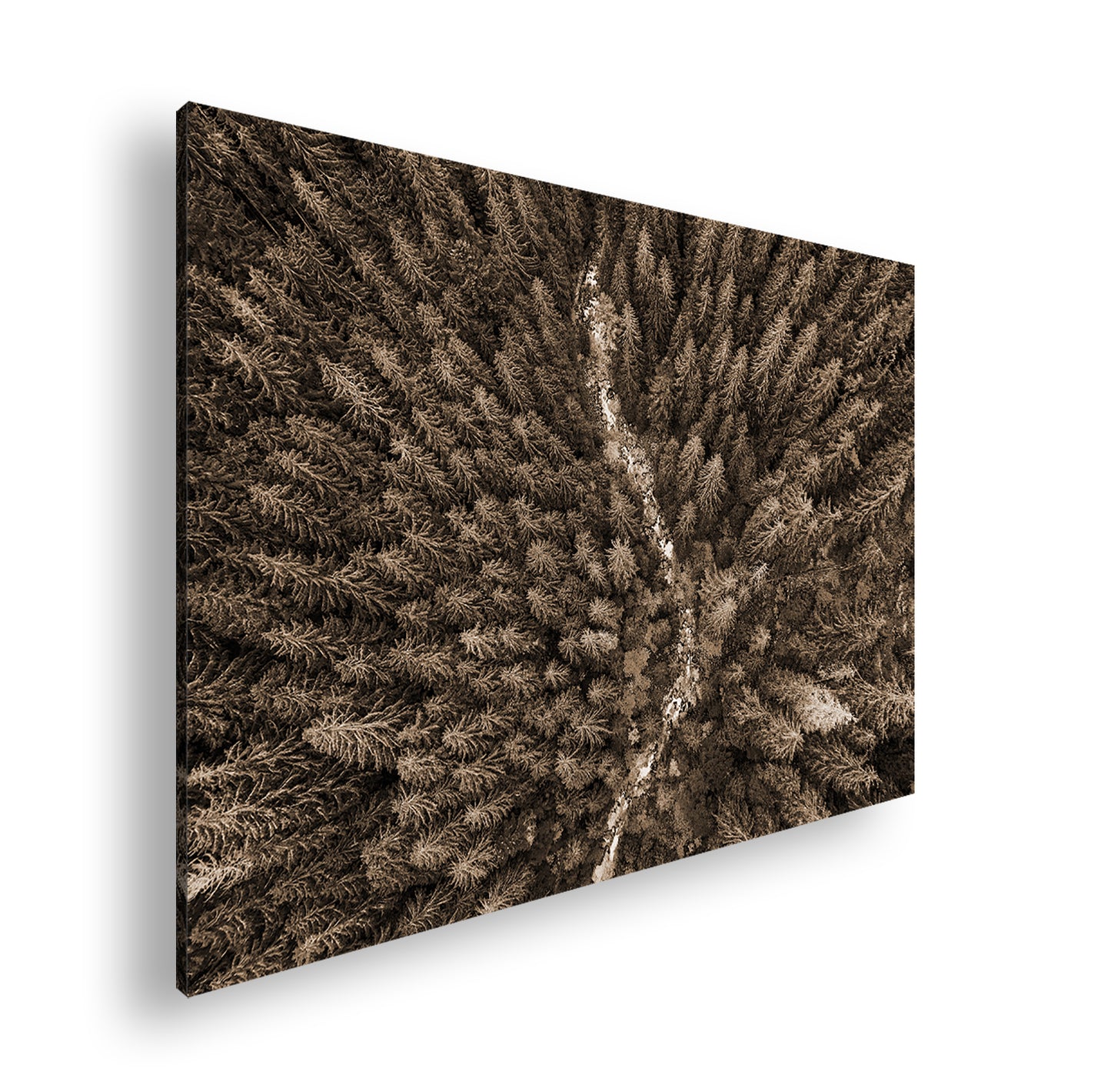 Hauptbild Sepia Standart