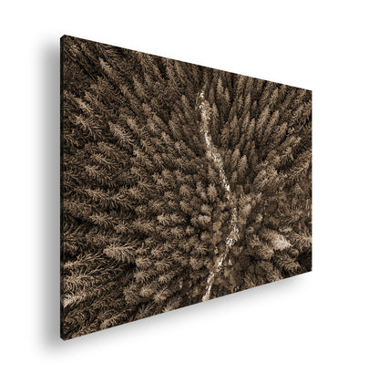 Hauptbild Sepia Standart