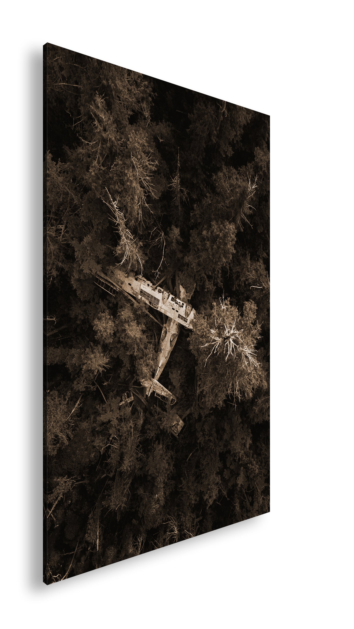 Hauptbild Sepia Standart