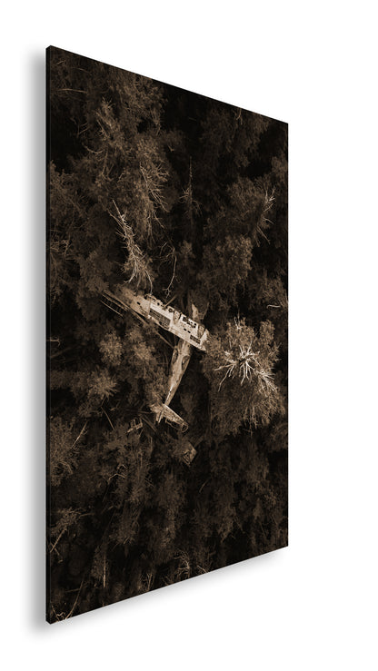 Hauptbild Sepia Standart