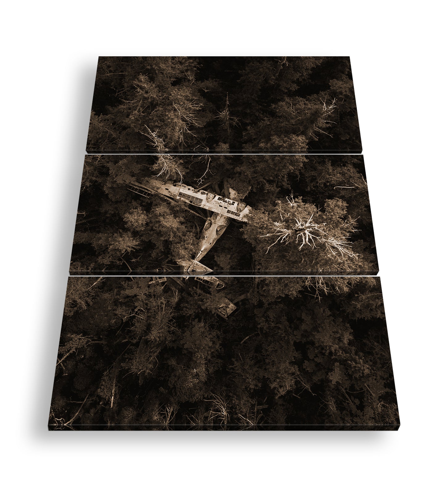 Hauptbild Sepia 3 Teilig