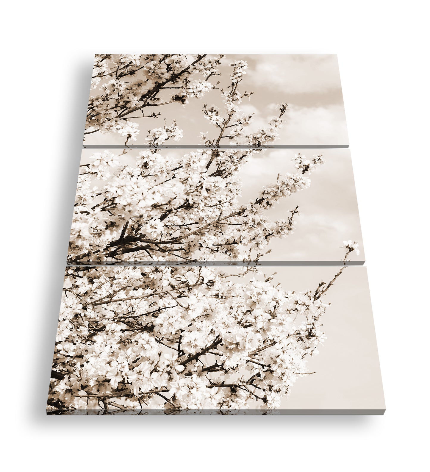 Hauptbild Sepia 3 Teilig