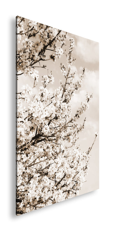 Hauptbild Sepia Standart