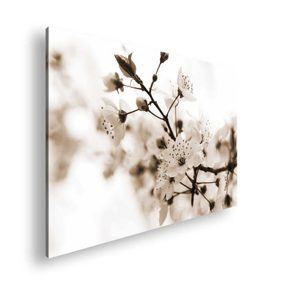 Hauptbild Sepia Standart