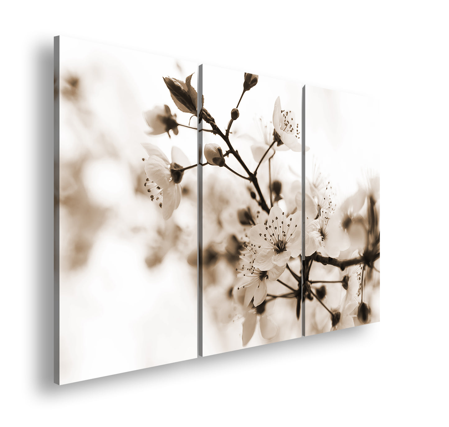 Hauptbild Sepia 3 Teilig